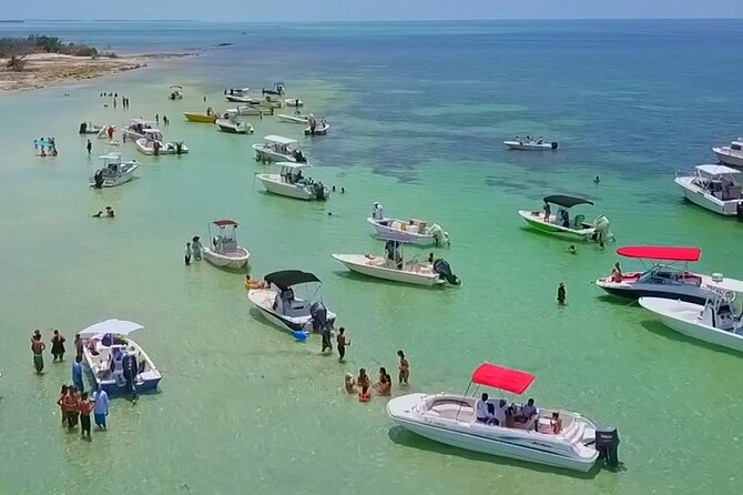 Full Day Charter Snorkeling Sandbar and Eco Safari Adventure - Good To Know