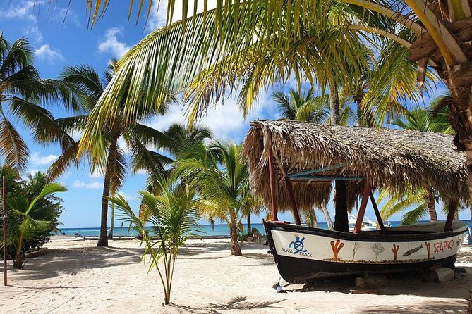 Full-Day Cruise to Saona Island - Free Snorkeling, Lunch & Open Bar - Good To Know