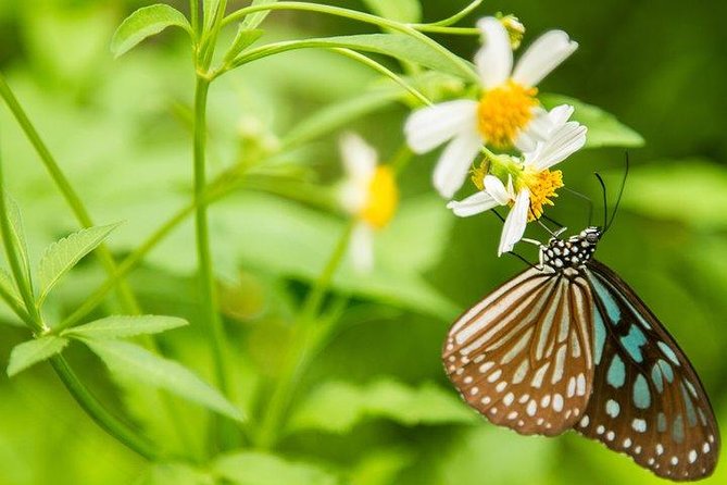 FULL-DAY CUC PHUONG NATIONAL PARK From HA NOI - Overview of the Tour