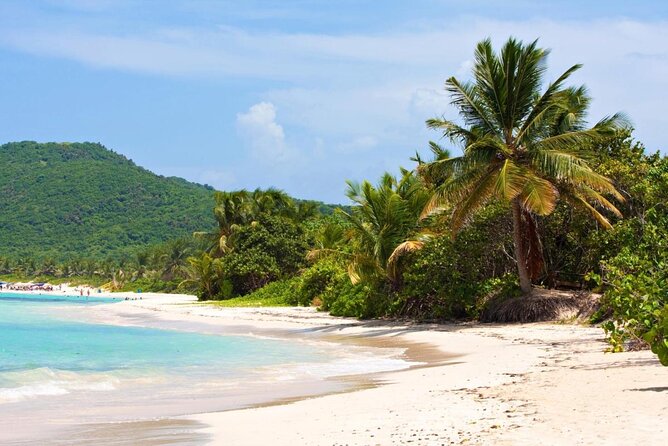 Full-Day Culebra and Flamenco Beach Snorkel Tour From San Juan