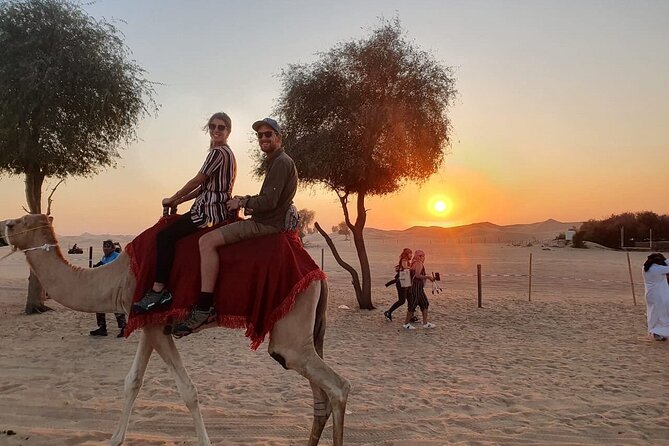 Full Day Desert Safari Experience With BBQ Dinner in Lahbab Dubai - Good To Know