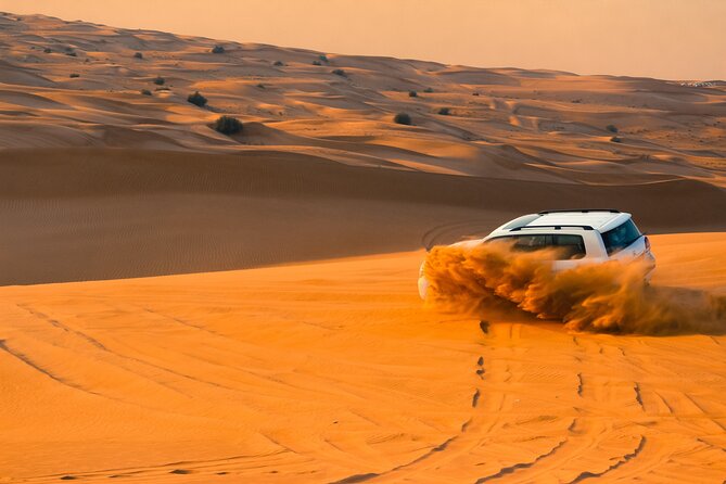Full-Day Desert Safari With Buffet Dinner Inland Sea Visit - Good To Know