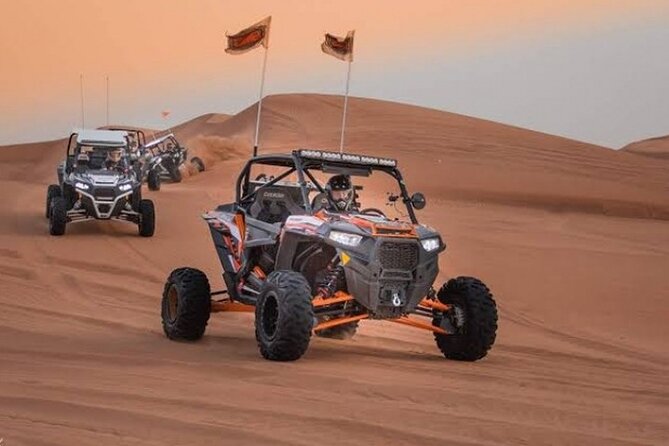 Full-Day Desert Safari With Dune Buggy Ride in Dubai - Good To Know