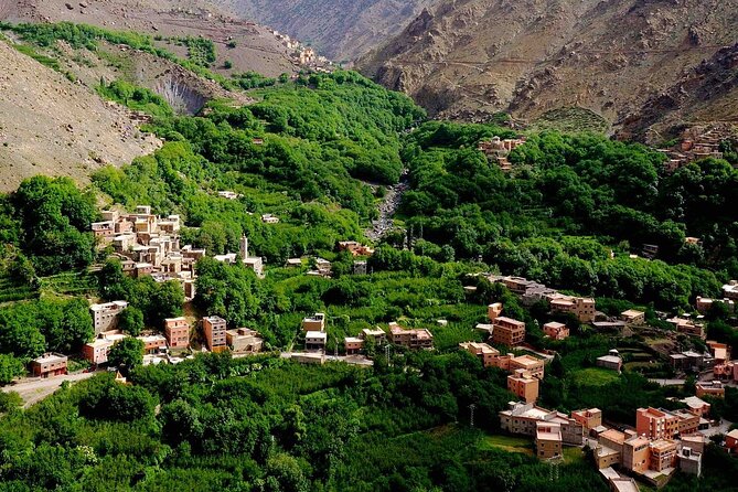 Full Day Discovery of Ouzoud Waterfalls From Marrakech - Pricing and Booking Options