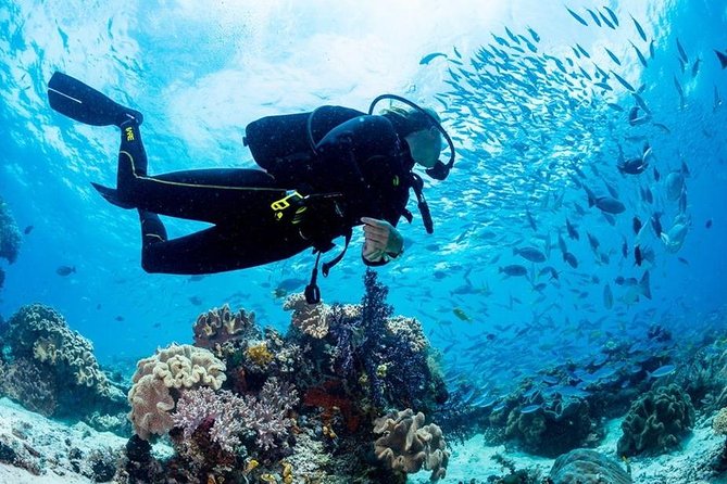 3 Best Scuba Diving Experiences In Cairo