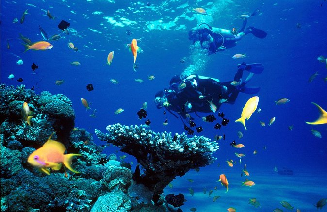 Full Day Diving Tour in the Mediterranean From Side With Lunch - Good To Know
