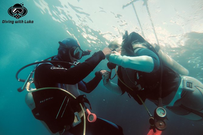 Full Day Diving With Private Guide, Lunch Drinks Transportation - Good To Know