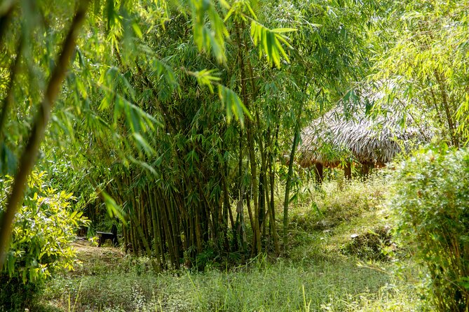 Full-Day DMZ TOUR From HUE CITY