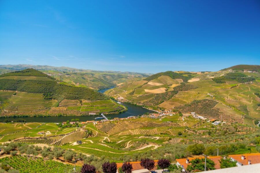 Full-Day Douro Wine Tour With Lunch and River Cruise - Good To Know
