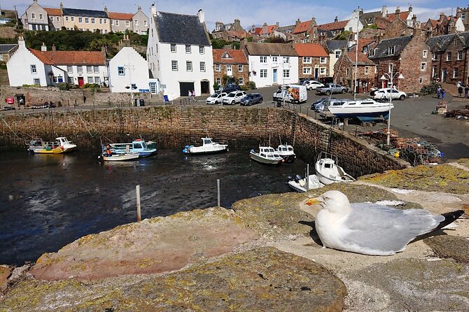 Full Day East Neuk Treasures and Stirling Castle Tour From St Andrews - Tour Pricing and Booking