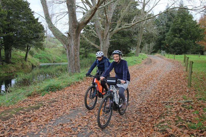 Full Day Ebike Tour in Karangahake Gorge (ex Auckland) - Good To Know