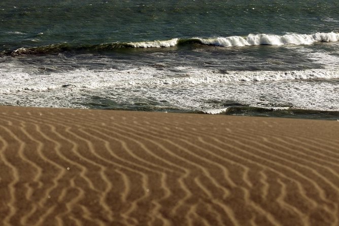 Full Day Explore Sigatoka Tour-Kula Eco Park,Sand Dunes,Fijian Village&Shopping