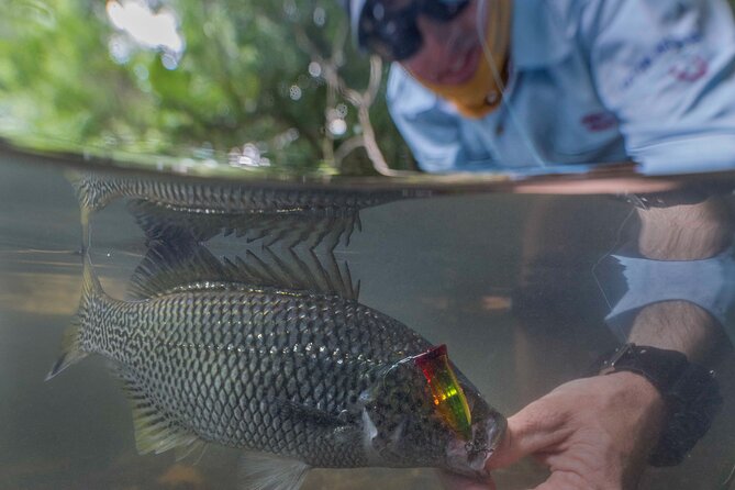 Full Day Fishing Adventure Throughout Cairns & Port Douglas