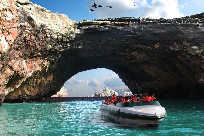 Full Day From Lima: Ballestas Islands & Paracas National Reserve
