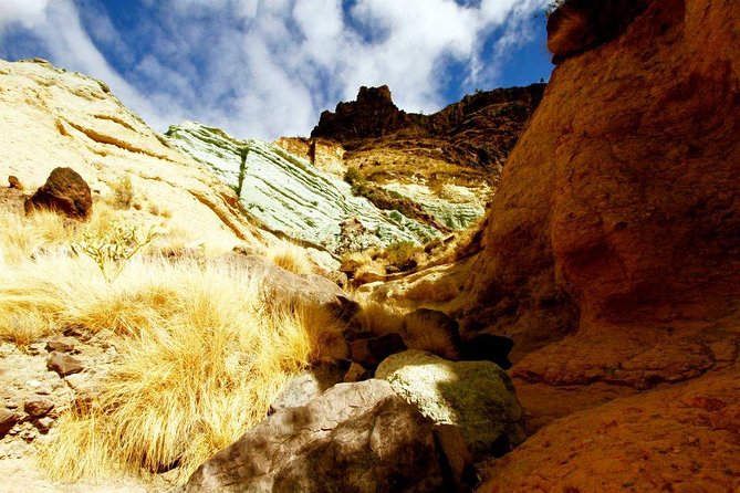 Full Day Gran Canaria Island Tour - Good To Know