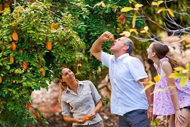 Full-Day Guided Tour Byron Bay With Pickup - Tour Highlights
