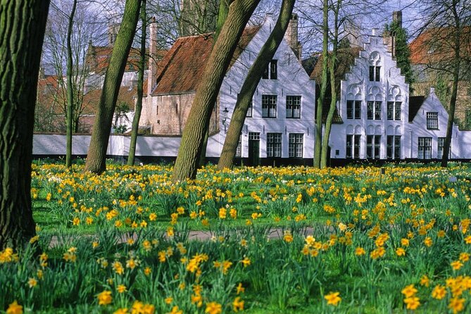 Full Day Guided Tour to Bruges by Train From Brussels - Good To Know