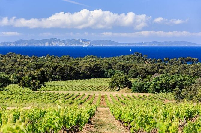 5 Best Wine Tours In French Riviera