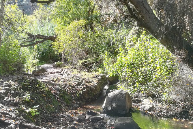 Full Day Hiking and Waterfalls Experience