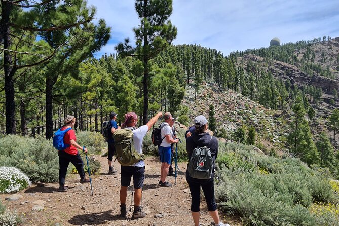 Full Day Hiking Gran Canaria Peaks of Gran Canaria - Good To Know