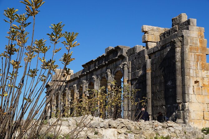 Full-day Historical Meknes Volubilis and Moulay Idriss Tour - Group Size and Transportation