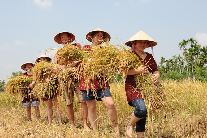 Full-Day Hoi An Town and Tra Que Vegetable Village Tour - Questions