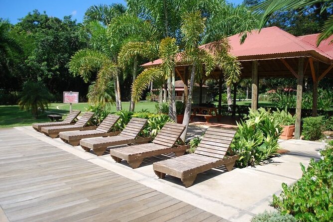 Full-Day Jamaica Apple Rum Tour - Negril