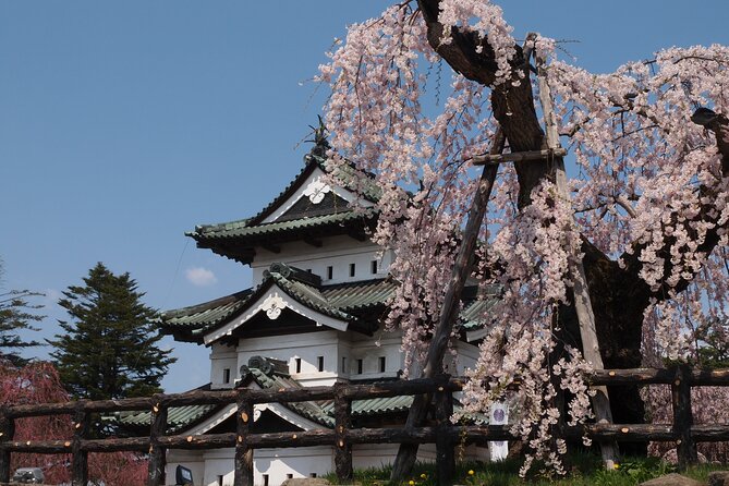 Full-Day Jomon World Heritage Site Tour in Hirosaki Area