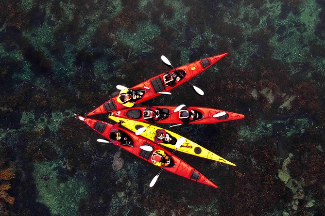 Full Day Kayak-Northern Explorer