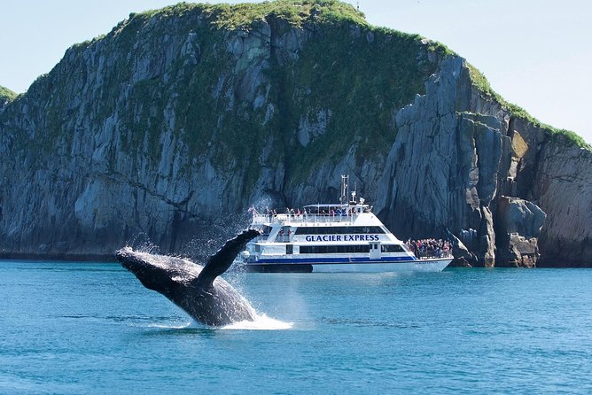 Full-Day Kenai Fjords National Park Cruise - Good To Know