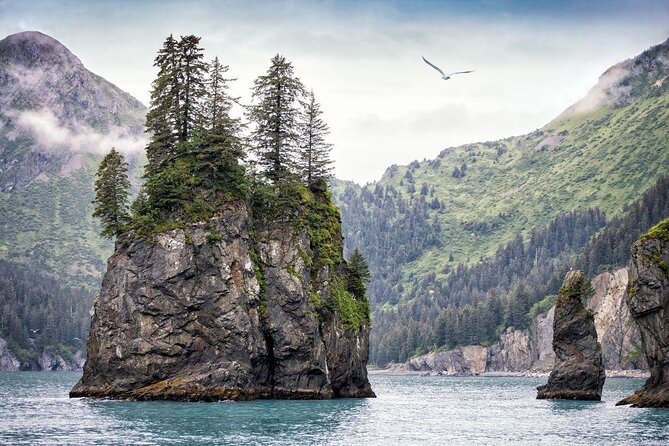 Full-Day Kenai Fjords National Park Northwestern Cruise - Good To Know