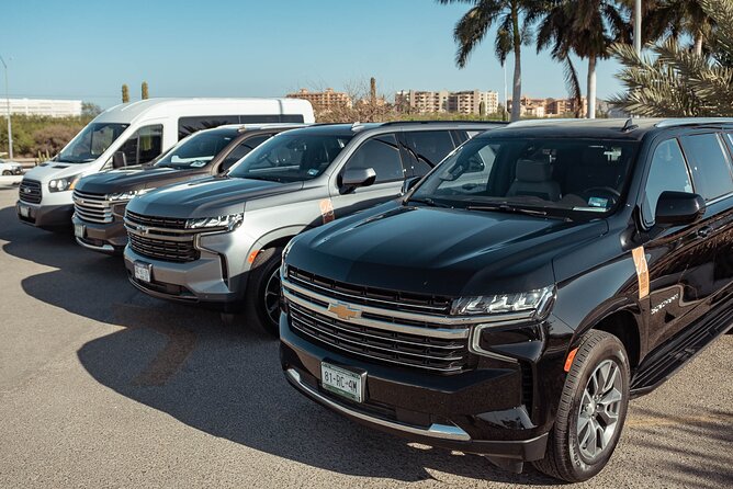 Full-Day La Paz Private Tour From Los Cabos With Cerritos Beach or Todos Santos - Good To Know