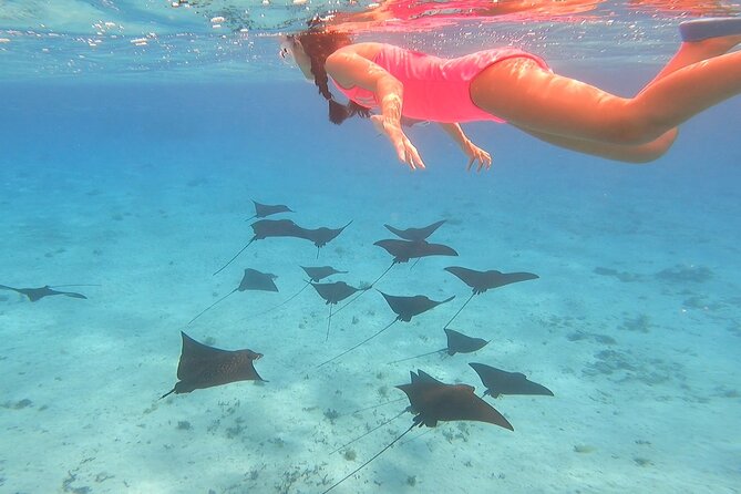 Full-Day Lagoon Safari Tour With Lunch in Bora Bora – Shared Tour