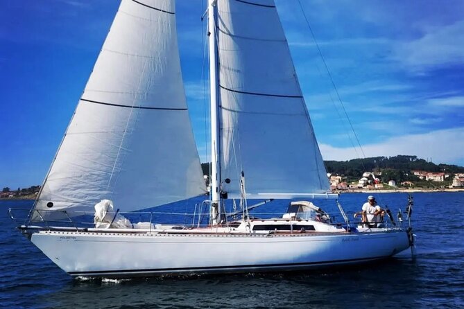 Full Day Navigation With Snorkeling and Whale Watching - Good To Know