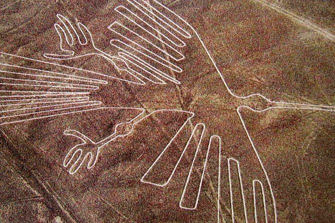 Full Day Nazca Lines, Huacachina Oasis With Buggy and Sandboard