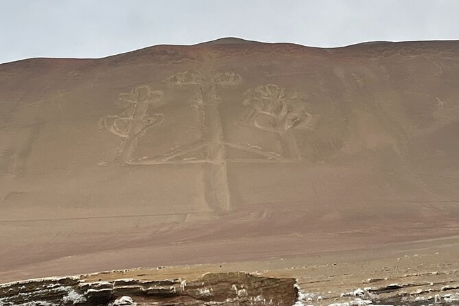 Full Day Paracas and Huacachina Sunset Tour - An Epic Experience!