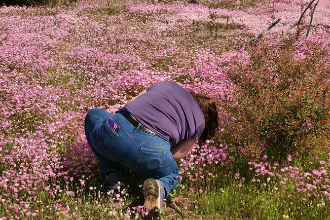 Full-Day Perth Flower Photography Excursion - Good To Know