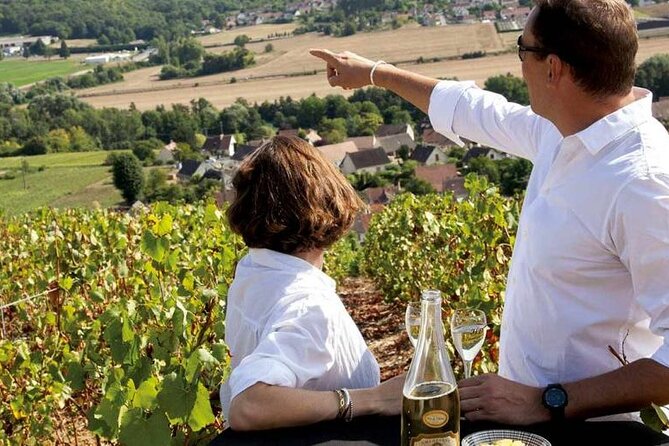 Full-Day Private Champagne Tasting in Reims and Its Vineyards - Good To Know