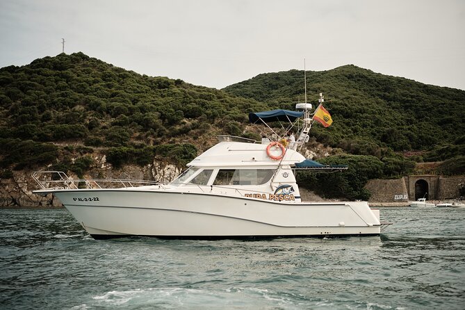 Full Day Private Fishing for Giant Tuna