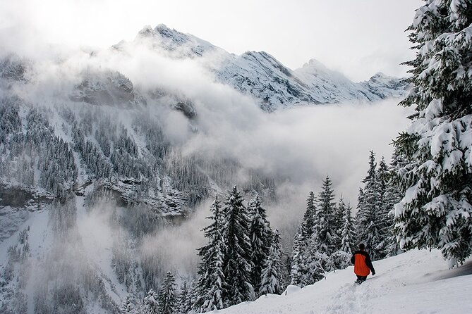 Full Day Private Guided Scenic Train Tour to the Swiss Alps - Tour Details