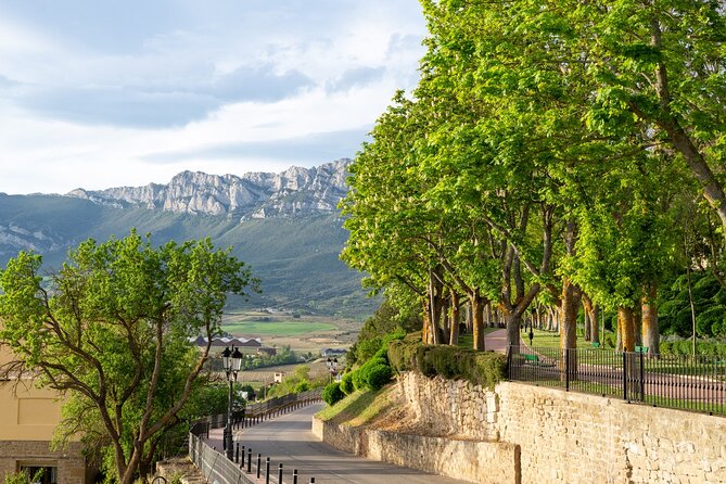 Full Day Private Rioja Wine Tour Experience From La Rioja