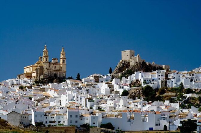 Full Day Private Shore Tour in Cadiz From Cadiz Cruise Port - Good To Know