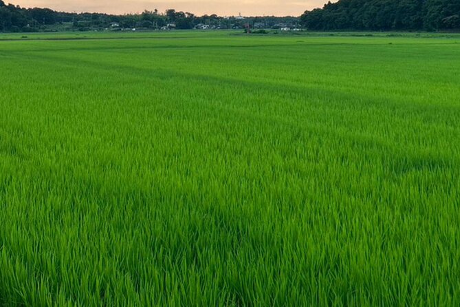 Full-Day Private Tokyo Countryside Tour - Good To Know