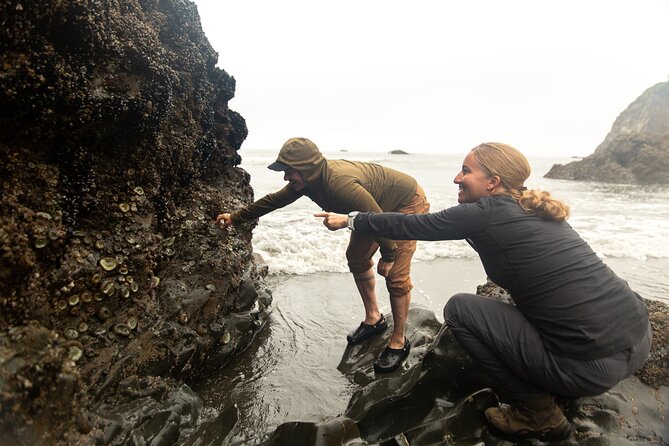 Full-Day Private Tour and Hike in Olympic National Park - Pickup Details and Cancellation Policy