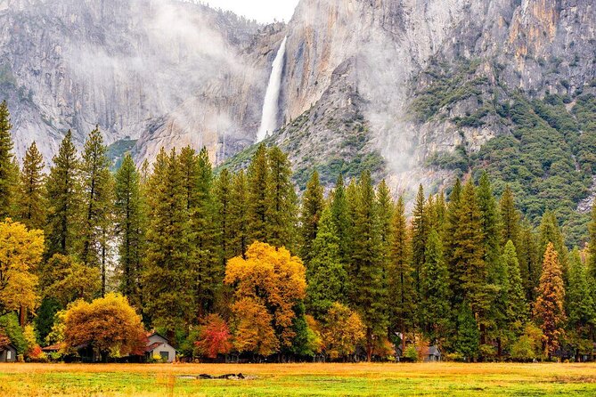Full-Day Private Tour and Hike in Yosemite National Park