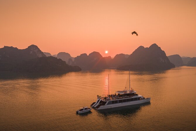 Full Day Private Tour in Halong - Good To Know