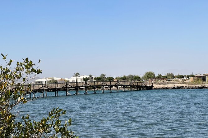 Full-Day Private Tour in Kalba Mangroves And Khor Fakkan - Good To Know