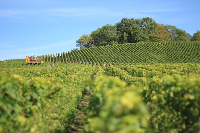 Full Day Private Tour to Rioja Wine Tour With Lunch From Bilbao - Good To Know
