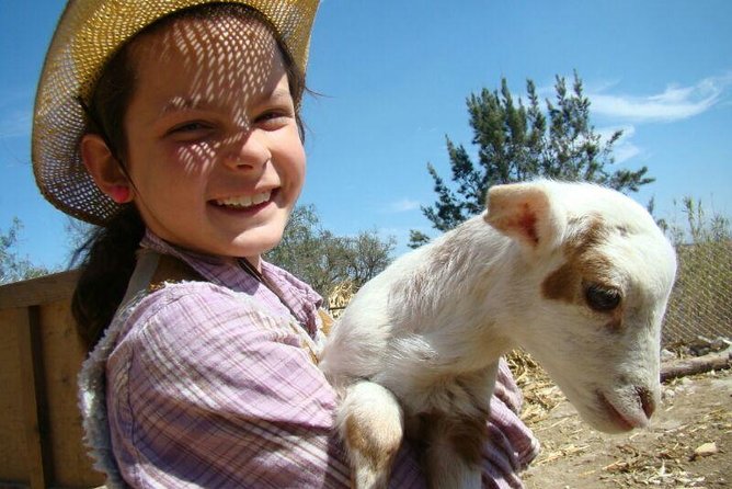 Full-Day Ranch Adventure and Horseback Riding Tour - Good To Know