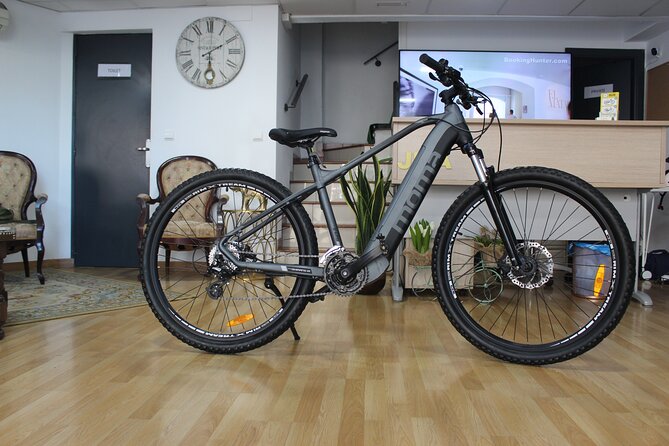 Full Day Rental of Electric Mountain E-Bike